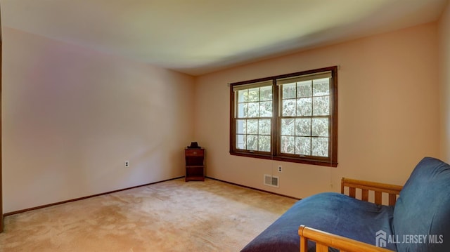 9 Toby Ter, Monroe, NJ 08831 - living area with light carpet and baseboards