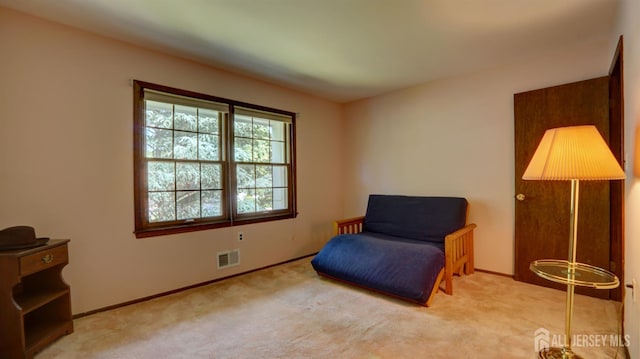 9 Toby Ter, Monroe, NJ 08831 - sitting room featuring carpet floors and baseboards