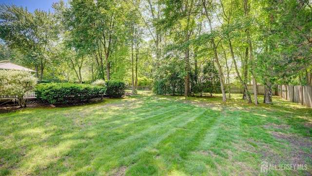 9 Toby Ter, Monroe, NJ 08831 - view of yard