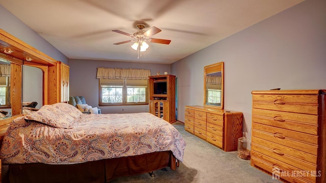 9 Toby Ter, Monroe, NJ 08831 - bedroom featuring light colored carpet and ceiling fan