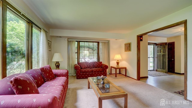 9 Toby Ter, Monroe, NJ 08831 - living area featuring carpet floors and baseboards
