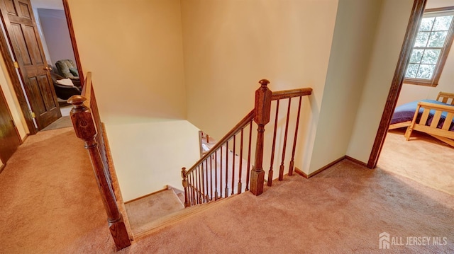 9 Toby Ter, Monroe, NJ 08831 - stairs with carpet and baseboards