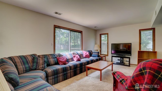 9 Toby Ter, Monroe, NJ 08831 - living area with carpet