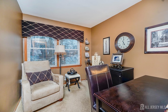 home office featuring carpet flooring