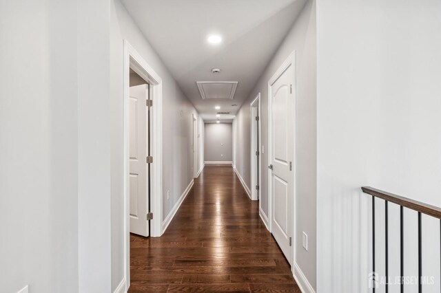 corridor featuring dark hardwood / wood-style flooring