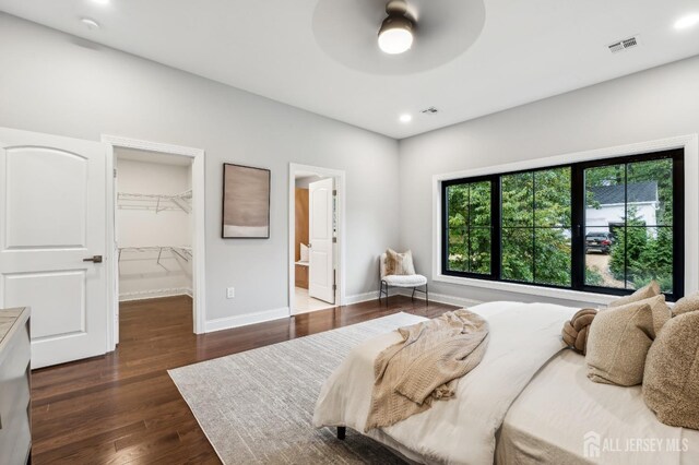 bedroom featuring a walk in closet, ceiling fan, connected bathroom, dark hardwood / wood-style flooring, and a closet