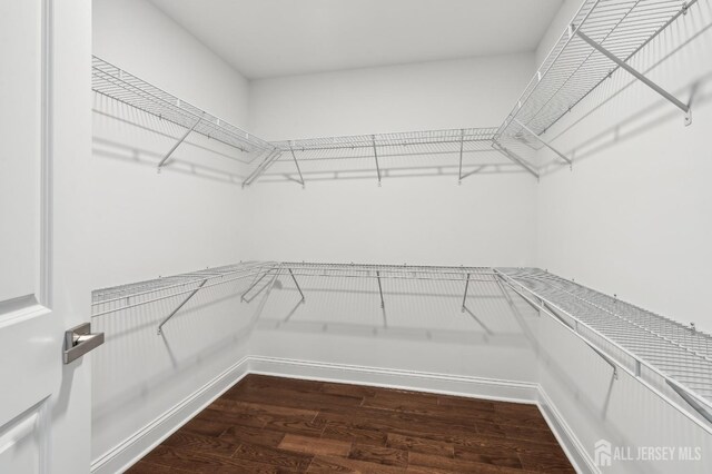 walk in closet featuring hardwood / wood-style floors