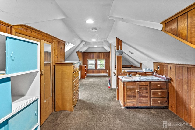 110 N 5th Ave N, Highland Park, NJ 08904 - bonus room featuring dark carpet, lofted ceiling, wooden walls, and a sink
