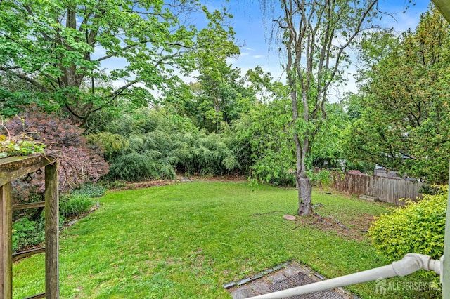 110 N 5th Ave N, Highland Park, NJ 08904 - view of yard