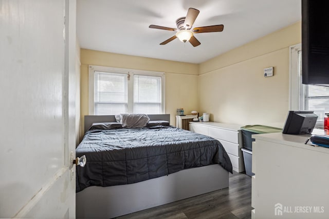 263 Bordentown Ave, South Amboy, NJ 08879 - bedroom with multiple windows, dark wood-style flooring, and a ceiling fan