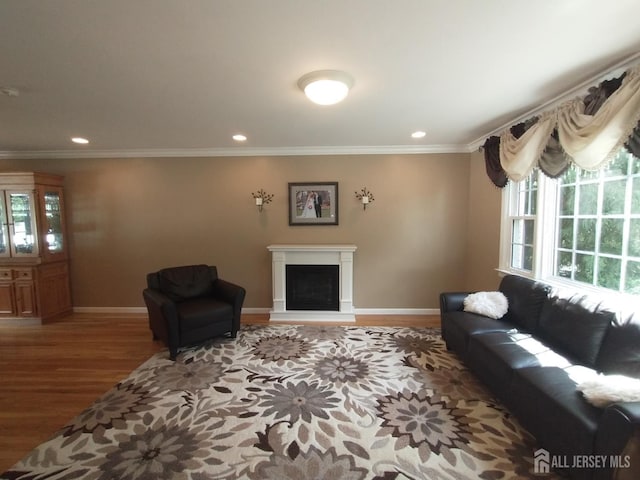 18 Timber Rd, East Brunswick, NJ 08816 - living room with wood finished floors, baseboards, a fireplace with raised hearth, crown molding, and recessed lighting