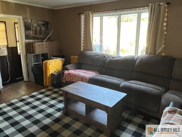 living room featuring crown molding