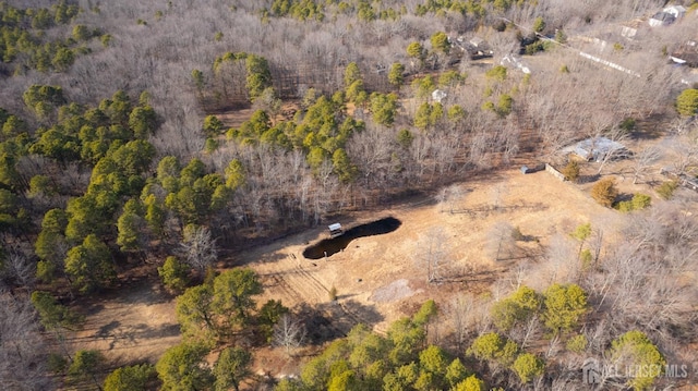 bird's eye view with a wooded view