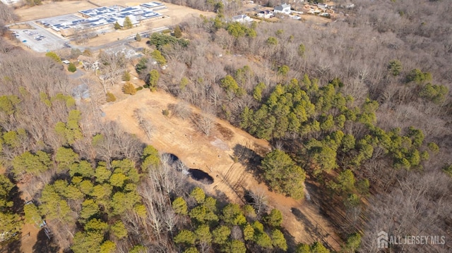 bird's eye view with a forest view