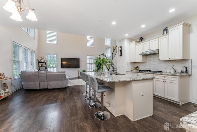 12 Mclellan Ct, East Brunswick, NJ 08816 - photo 17