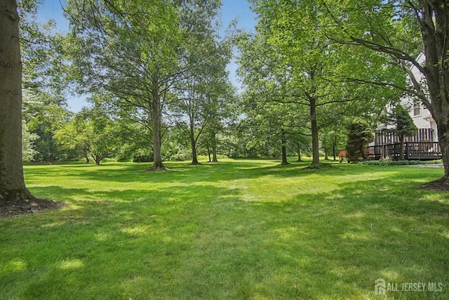 764 Vanessa Ln, Branchburg, NJ 08853 - photo 44