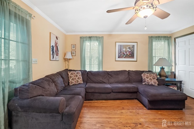22 S Drive E, Brunswick, NJ 08816 - living area with plenty of natural light, ornamental molding, wood finished floors, and a ceiling fan