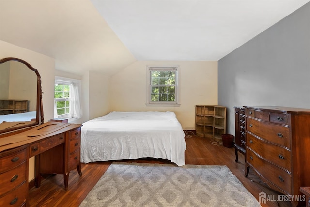 22 S Drive E, Brunswick, NJ 08816 - bedroom with dark wood-style floors and vaulted ceiling