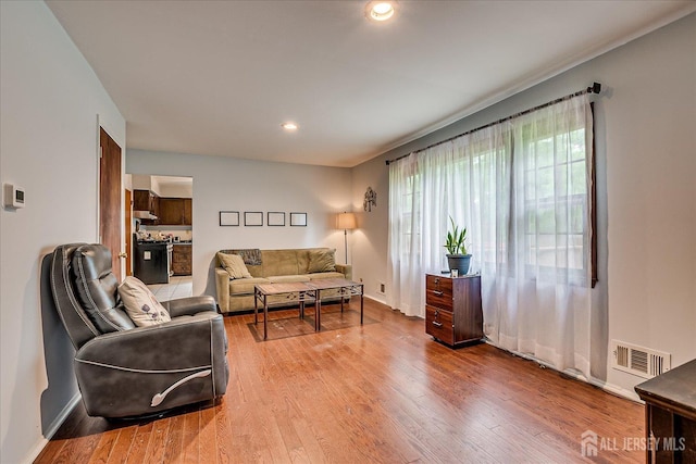 10 Ginesi Ct, Metuchen, NJ 08840 - living area featuring wood finished floors and recessed lighting