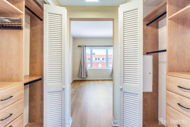 20 Livingston Ave Unit 504, New Brunswick, NJ 08901 - walk in closet featuring wood finished floors