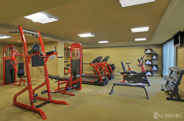 20 Livingston Ave Unit 504, New Brunswick, NJ 08901 - exercise room with carpet flooring