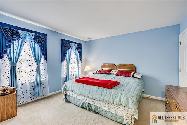 45 Hawthorn Dr, Plainsboro, NJ 08536 - photo 38