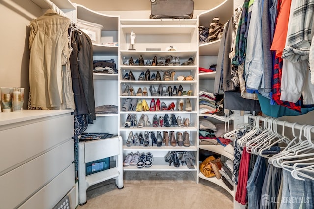 view of spacious closet