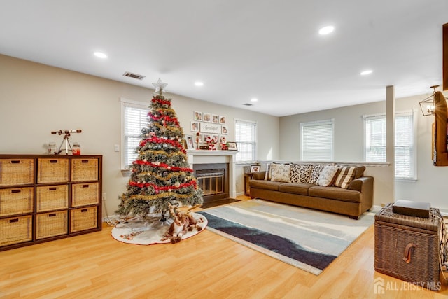 living room featuring hardwood / wood-style flooring