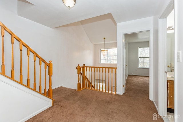 stairway featuring baseboards and carpet