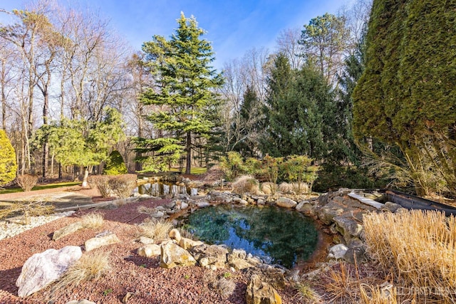 6 Alex Ct, Monroe, NJ 08831 - view of yard with a small pond