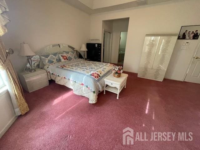 47 Stony Path Dr, South Brunswick, NJ 08810 - view of carpeted bedroom