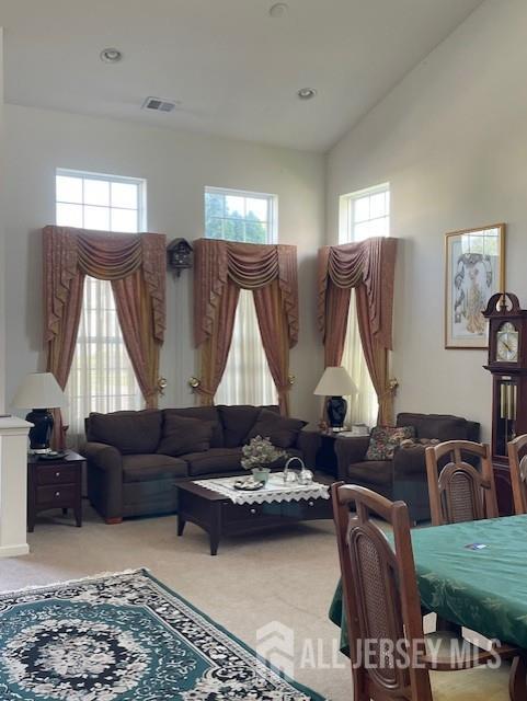 47 Stony Path Dr, South Brunswick, NJ 08810 - living room featuring healthy amount of natural light, carpet, and a high ceiling