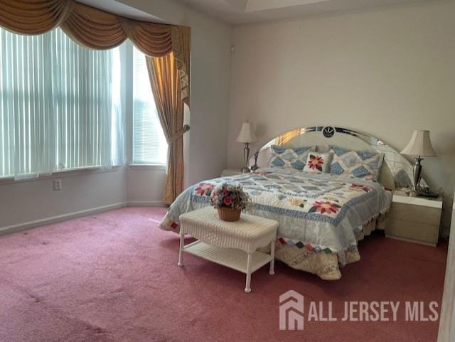 47 Stony Path Dr, South Brunswick, NJ 08810 - carpeted bedroom with baseboards