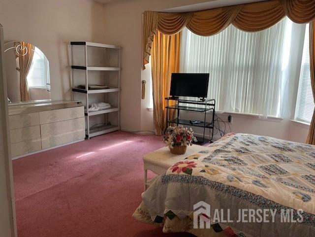 47 Stony Path Dr, South Brunswick, NJ 08810 - view of carpeted bedroom
