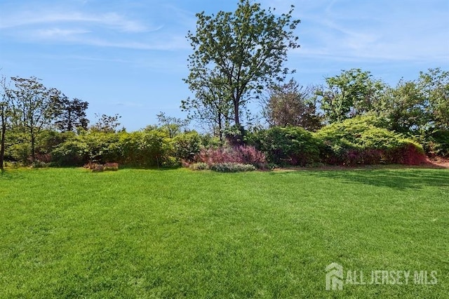 46 Carriage Dr, Piscataway, NJ 08854 - view of green lawn