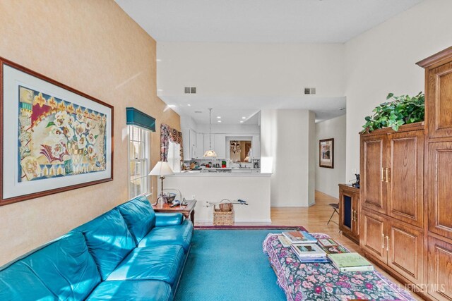 living room featuring light hardwood / wood-style flooring