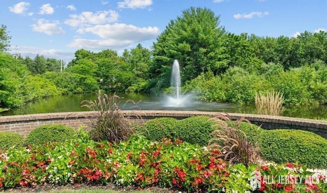 view of home's community featuring a water view