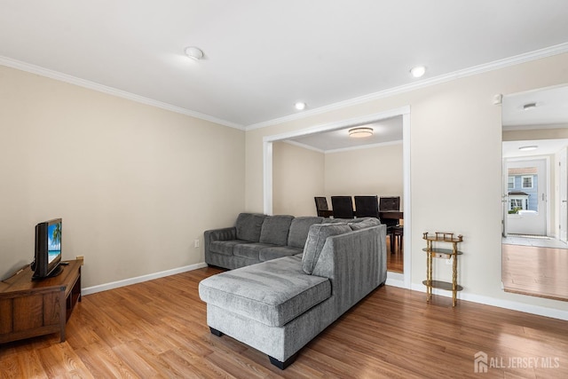 251 Chaucer Ct, Old Bridge, NJ 08857 - living room with light wood-style flooring, ornamental molding, and baseboards