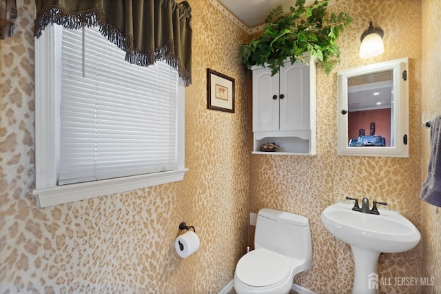 4 Rieder Ct, Franklin Twsp, NJ 08873 - half bathroom with toilet and wallpapered walls