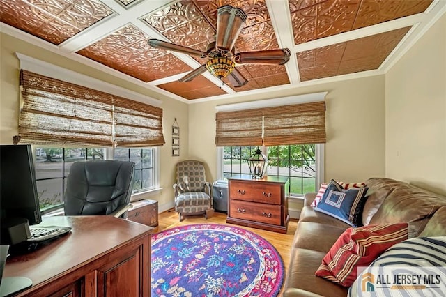 35 Parkview Rd, Cranbury, NJ 08512 - home office with an ornate ceiling, ceiling fan, wood finished floors, and ornamental molding