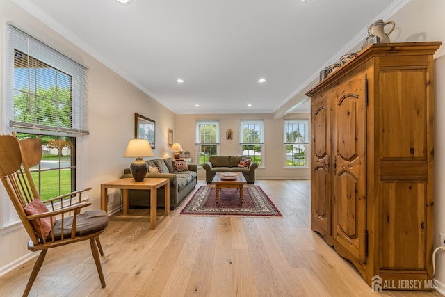 26 Magnolia Rd, Franklin Twsp, NJ 08873 - living area with light wood-style floors, recessed lighting, and ornamental molding