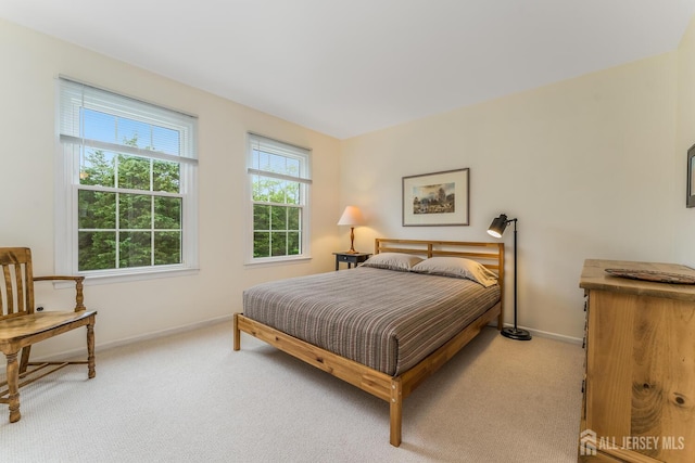 26 Magnolia Rd, Franklin Twsp, NJ 08873 - bedroom featuring light carpet
