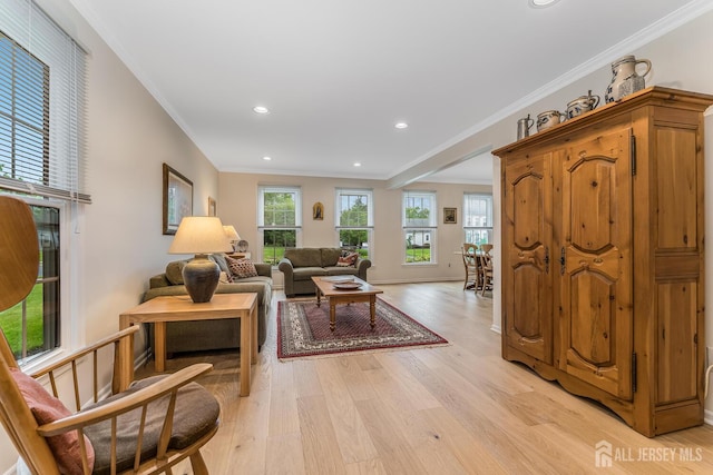 26 Magnolia Rd, Franklin Twsp, NJ 08873 - living room featuring light wood-type flooring, ornamental molding, recessed lighting, and baseboards
