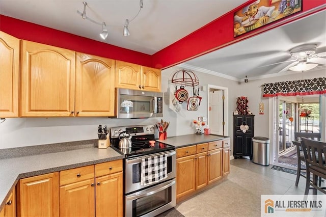 23 Spring St, Franklin, NJ 08873 - kitchen featuring appliances with stainless steel finishes, crown molding, ceiling fan, and dark countertops