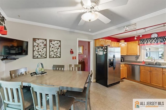 23 Spring St, Franklin, NJ 08873 - kitchen with appliances with stainless steel finishes, a ceiling fan, ornamental molding, and light floors