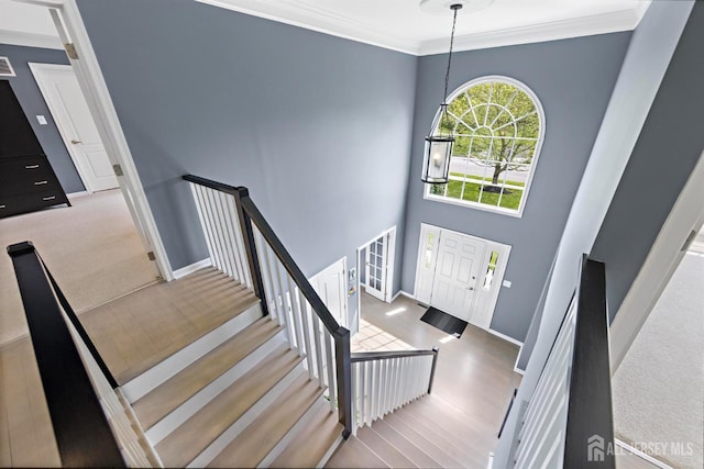 24 Saddle Ct, Monroe, NJ 08831 - foyer with baseboards, carpet flooring, and crown molding