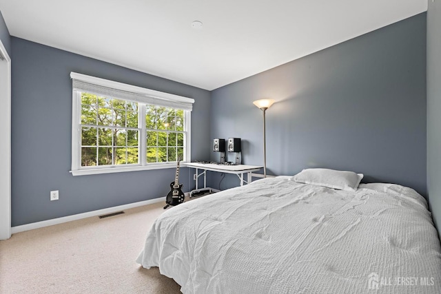 24 Saddle Ct, Monroe, NJ 08831 - bedroom with baseboards and carpet