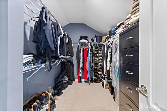 24 Saddle Ct, Monroe, NJ 08831 - spacious closet featuring lofted ceiling and carpet flooring