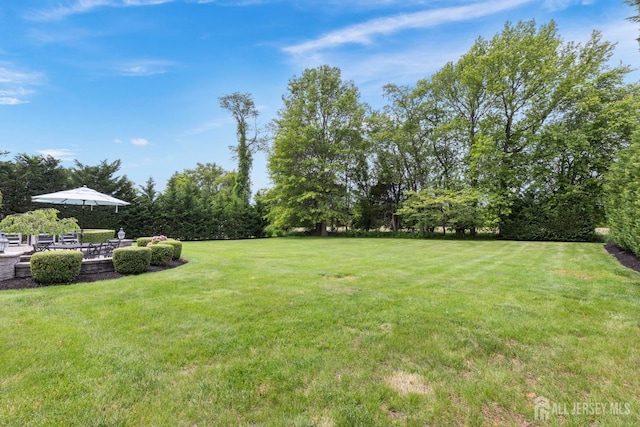 24 Saddle Ct, Monroe, NJ 08831 - photo 33