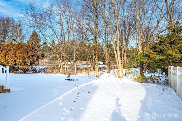 view of yard layered in snow